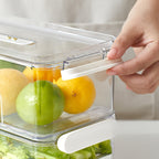 Cassia | Refrigerator Storage Box | Food-Safe PET Container | Single & Double Layer
