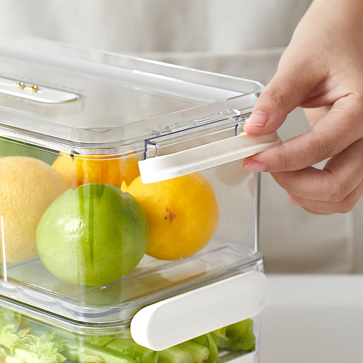 Cassia | Refrigerator Storage Box | Food-Safe PET Container | Single & Double Layer