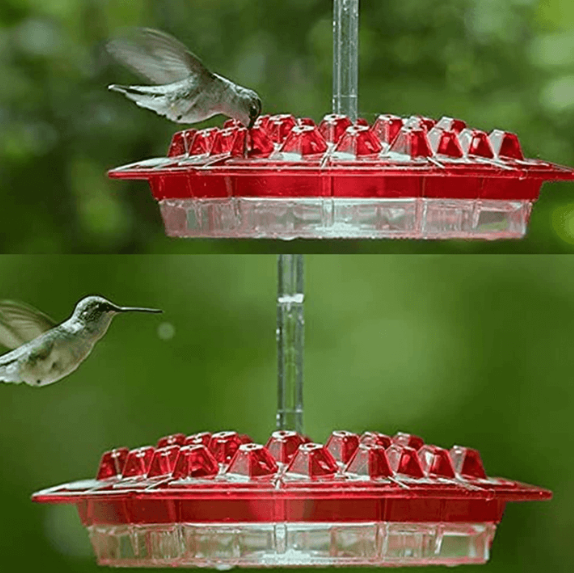 Orla | Hummingbird Feeder | Ant Proof, Outdoor Hanging | 30 Ports, 12 oz