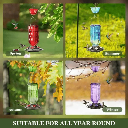 Indra | Hummingbird Feeder | 24oz Glass, Leak-Proof, 6 Flower Ports