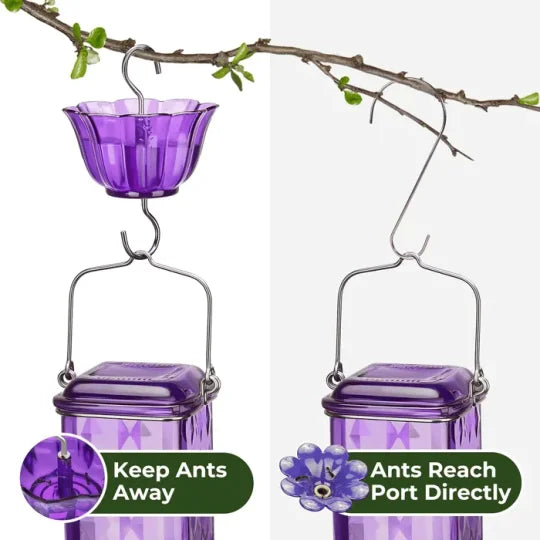 Indra | Hummingbird Feeder | 24oz Glass, Leak-Proof, 6 Flower Ports