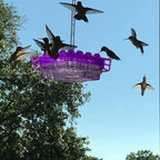Orla | Hummingbird Feeder | Ant Proof, Outdoor Hanging | 30 Ports, 12 oz