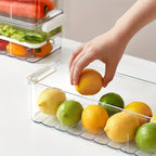 Cassia | Refrigerator Storage Box | Food-Safe PET Container | Single & Double Layer