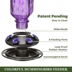 Indra | Hummingbird Feeder | 24oz Glass, Leak-Proof, 6 Flower Ports