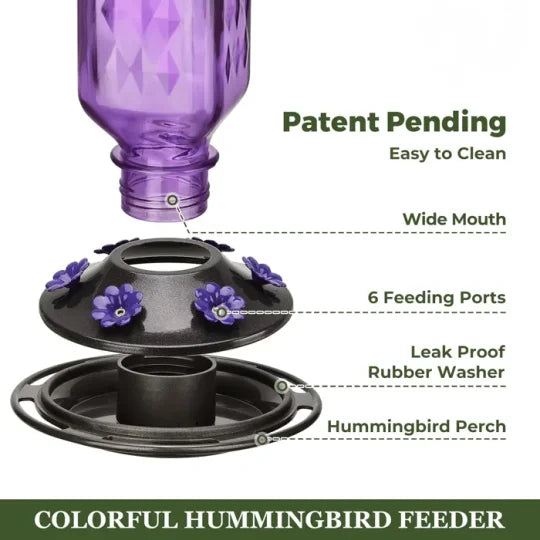 Indra | Hummingbird Feeder | 24oz Glass, Leak-Proof, 6 Flower Ports