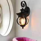 Tamsin | Outdoor Wall Lantern | Black, Seeded Glass Globe, LED, 1-Light