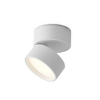 Della | LED Ceiling Spotlight | Adjustable, Minimalist | Warm White, Black & White