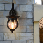 Tamsin | Outdoor Wall Lantern | Black, Seeded Glass Globe, LED, 1-Light