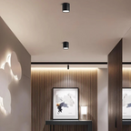 Della | LED Ceiling Spotlight | Adjustable, Minimalist | Warm White, Black & White