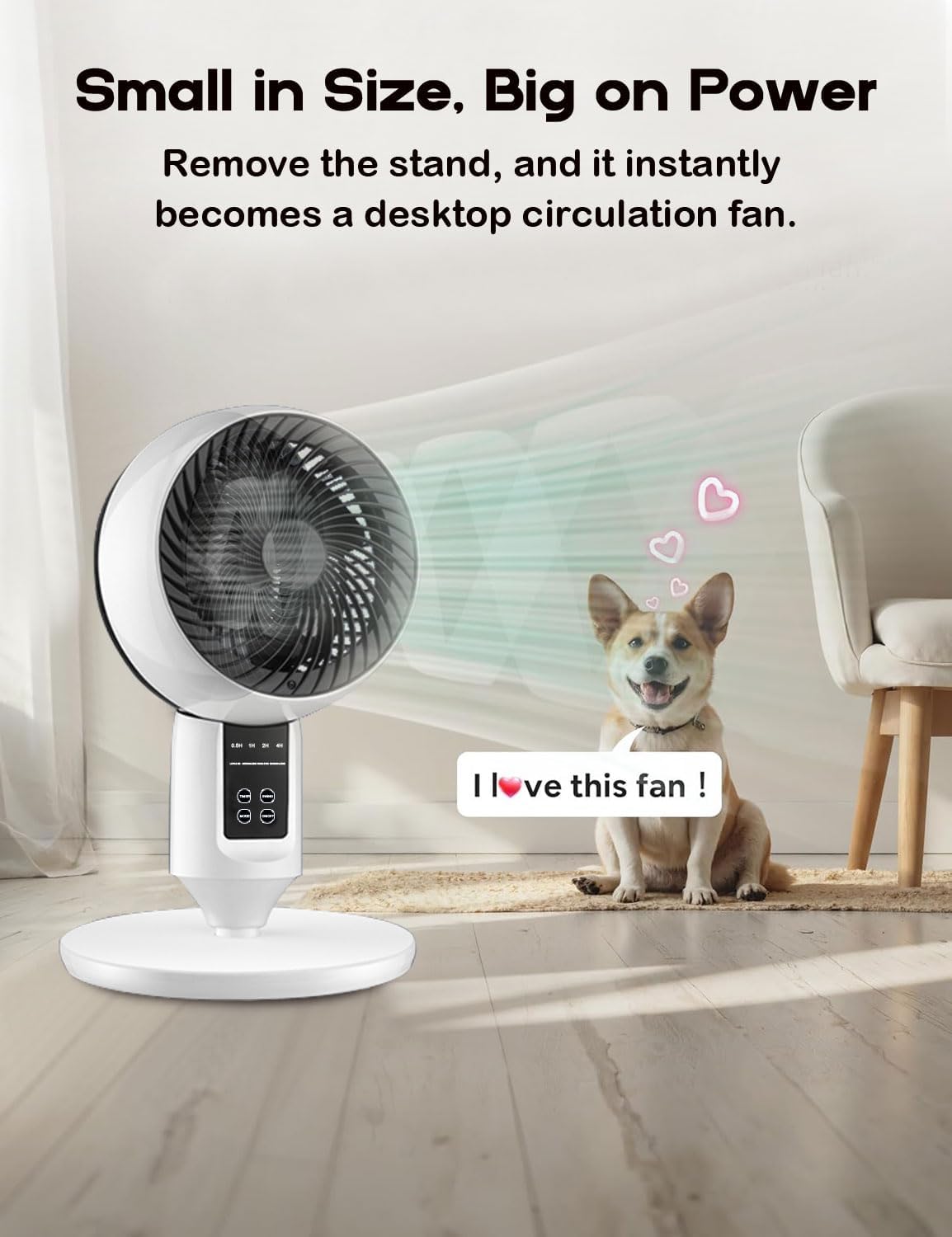 Xanthe | Pedestal Fan | 3D Oscillation, Adjustable Height, Ultra-Quiet | White