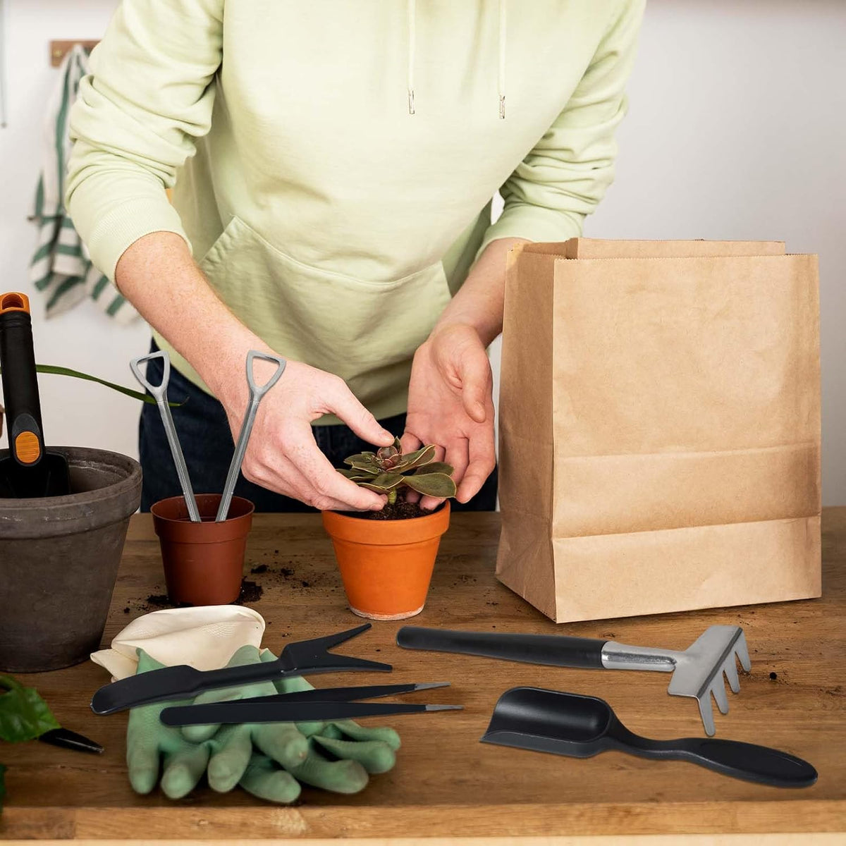 Luna | Succulent Tool Set | 12-in-1 with Storage Bag | Stainless Steel