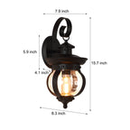 Tamsin | Outdoor Wall Lantern | Black, Seeded Glass Globe, LED, 1-Light