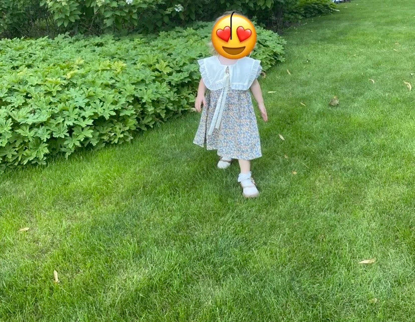 Girls Party Dress Floral Princess Bow A Line Toddler Summer Kids