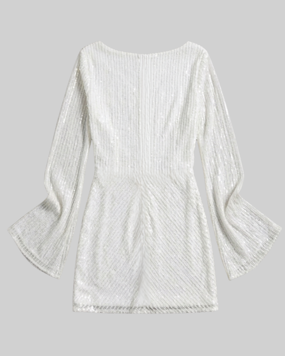Bodycon Mini Dress Long Sleeve Sequin Sheer | Sorrel