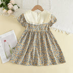 Girls Party Dress Floral Princess Bow A Line Toddler Summer Kids