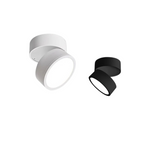 Della | LED Ceiling Spotlight | Adjustable, Minimalist | Warm White, Black & White