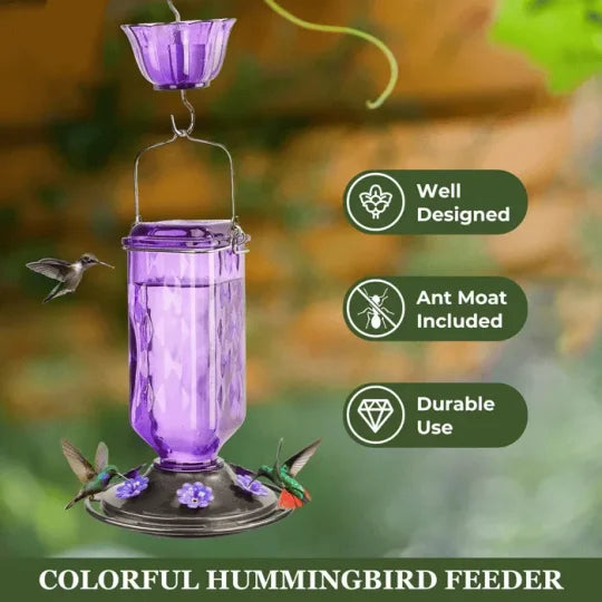Indra | Hummingbird Feeder | 24oz Glass, Leak-Proof, 6 Flower Ports