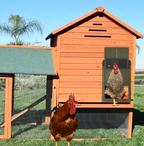 Automatic Chicken Coop Door Solar Battery Powered