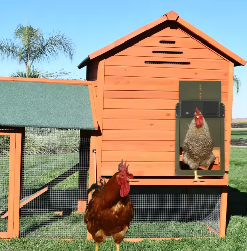 Automatic Chicken Coop Door Solar Battery Powered