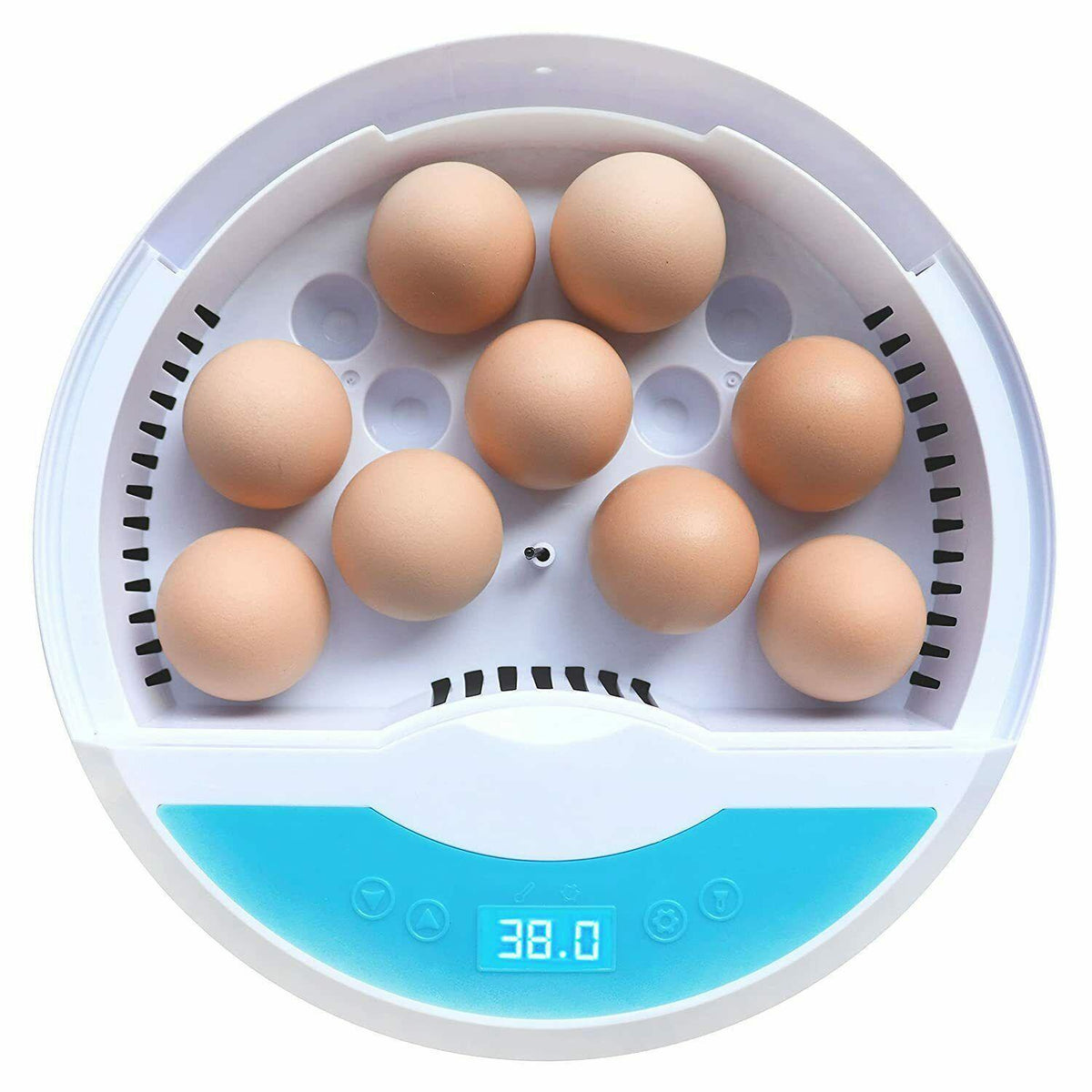 Automatic LED Egg Incubator Temperature Control Digital Display