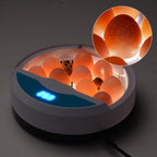Automatic LED Egg Incubator Temperature Control Digital Display