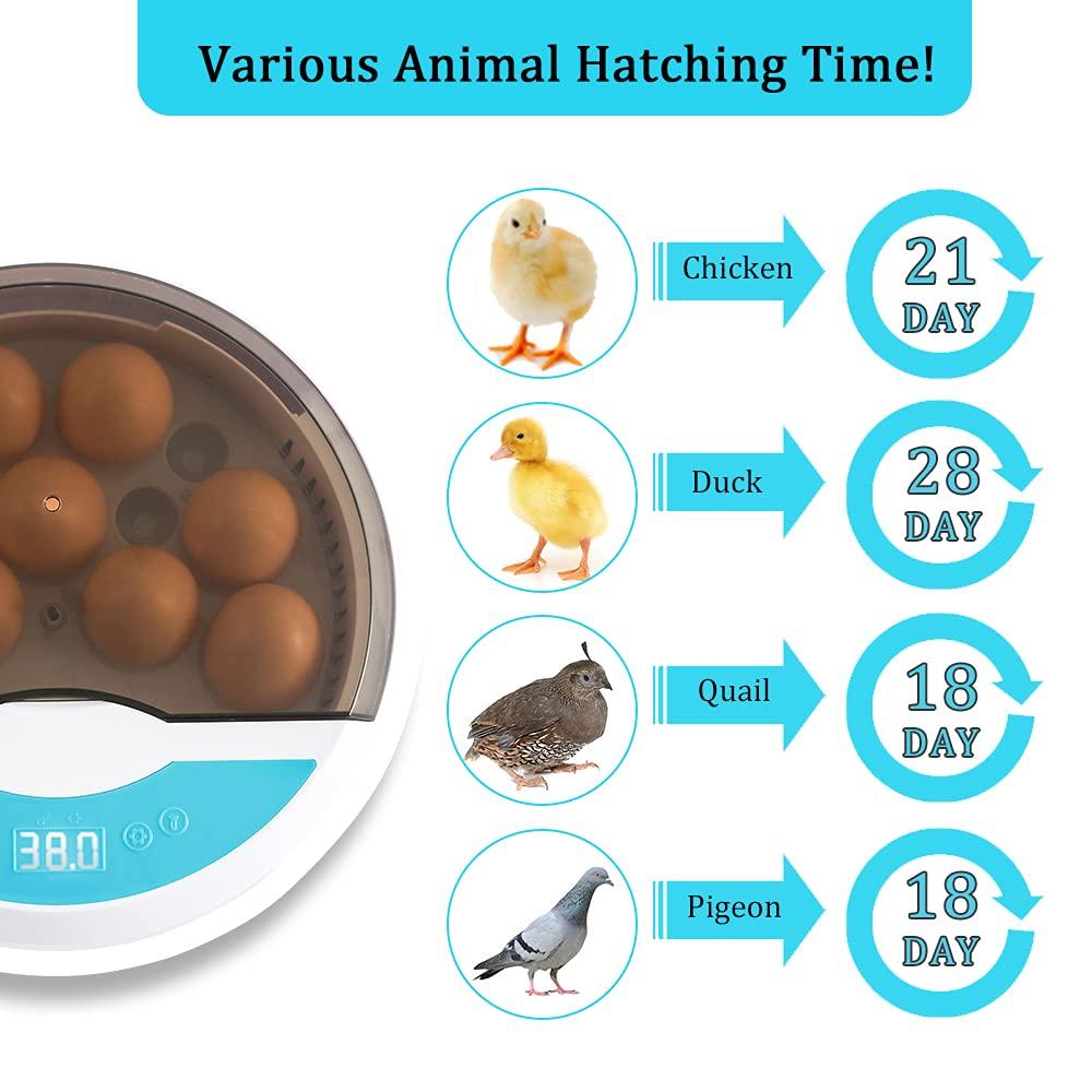Automatic LED Egg Incubator Temperature Control Digital Display