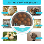 Automatic LED Egg Incubator Temperature Control Digital Display