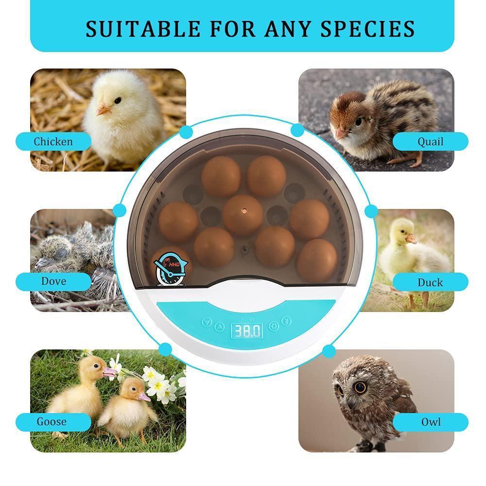 Automatic LED Egg Incubator Temperature Control Digital Display