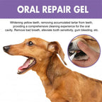 Tessa | Dog Oral Repair Gel | Whitening, Breath Freshening | 3-Pack