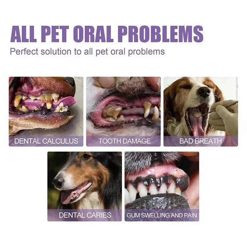 Tessa | Dog Oral Repair Gel | Whitening, Breath Freshening | 3-Pack