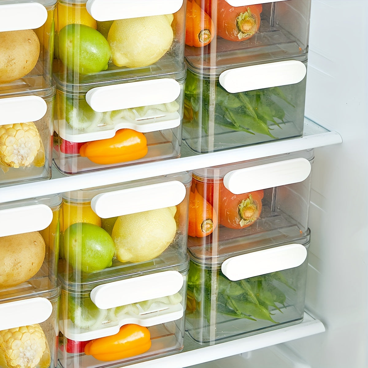 Cassia | Refrigerator Storage Box | Food-Safe PET Container | Single & Double Layer