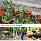 Automatic Drip Irrigation System Adjustable Sprinklers