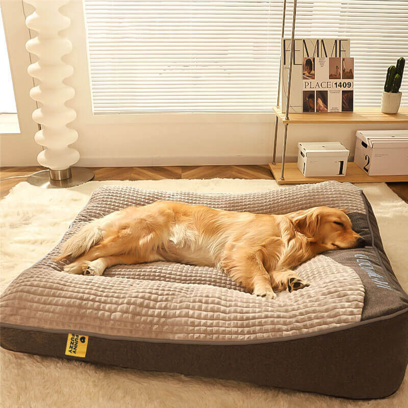 Nova | Orthopaedic Dog Bed | Memory Foam, Headrest, Large | Washable Cover