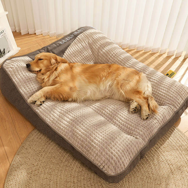 Nova | Orthopaedic Dog Bed | Memory Foam, Headrest, Large | Washable Cover