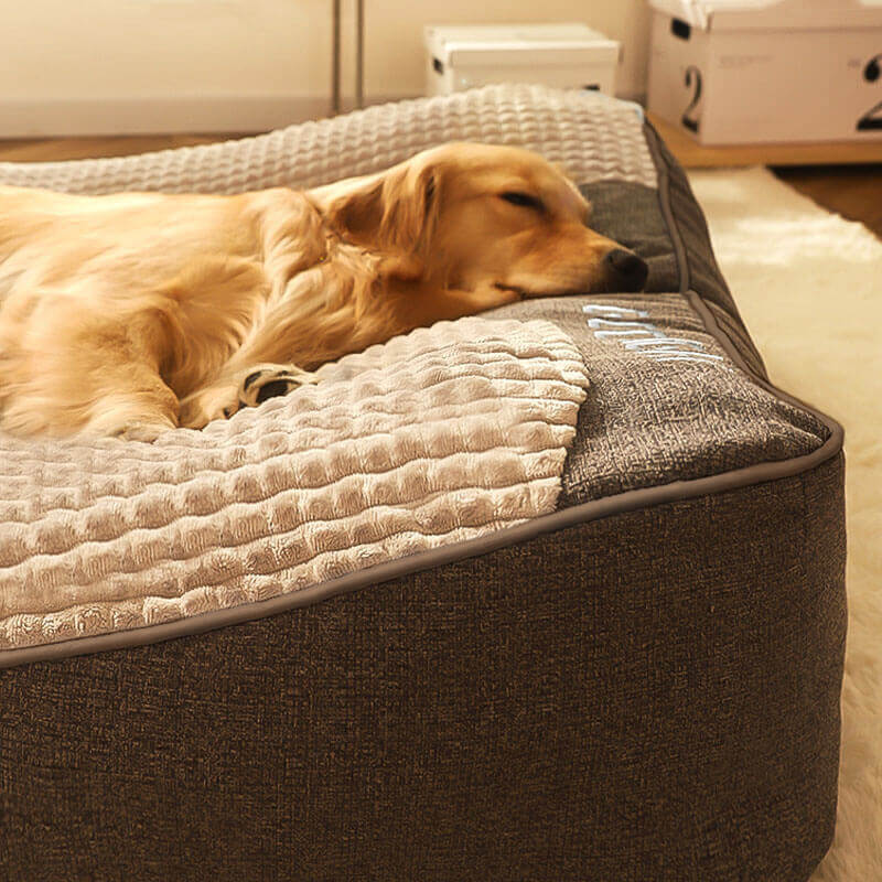 Nova | Orthopaedic Dog Bed | Memory Foam, Headrest, Large | Washable Cover