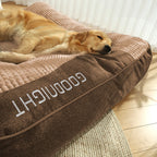 Nova | Orthopaedic Dog Bed | Memory Foam, Headrest, Large | Washable Cover