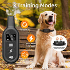 Marlow | Dog Training E-Collar | 1000m Range, Waterproof, Rechargeable | Black