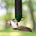 Sabine | Squirrel Proof Bird Feeder | Rotating Perch, 4 Ports | Heavy-Duty Metal