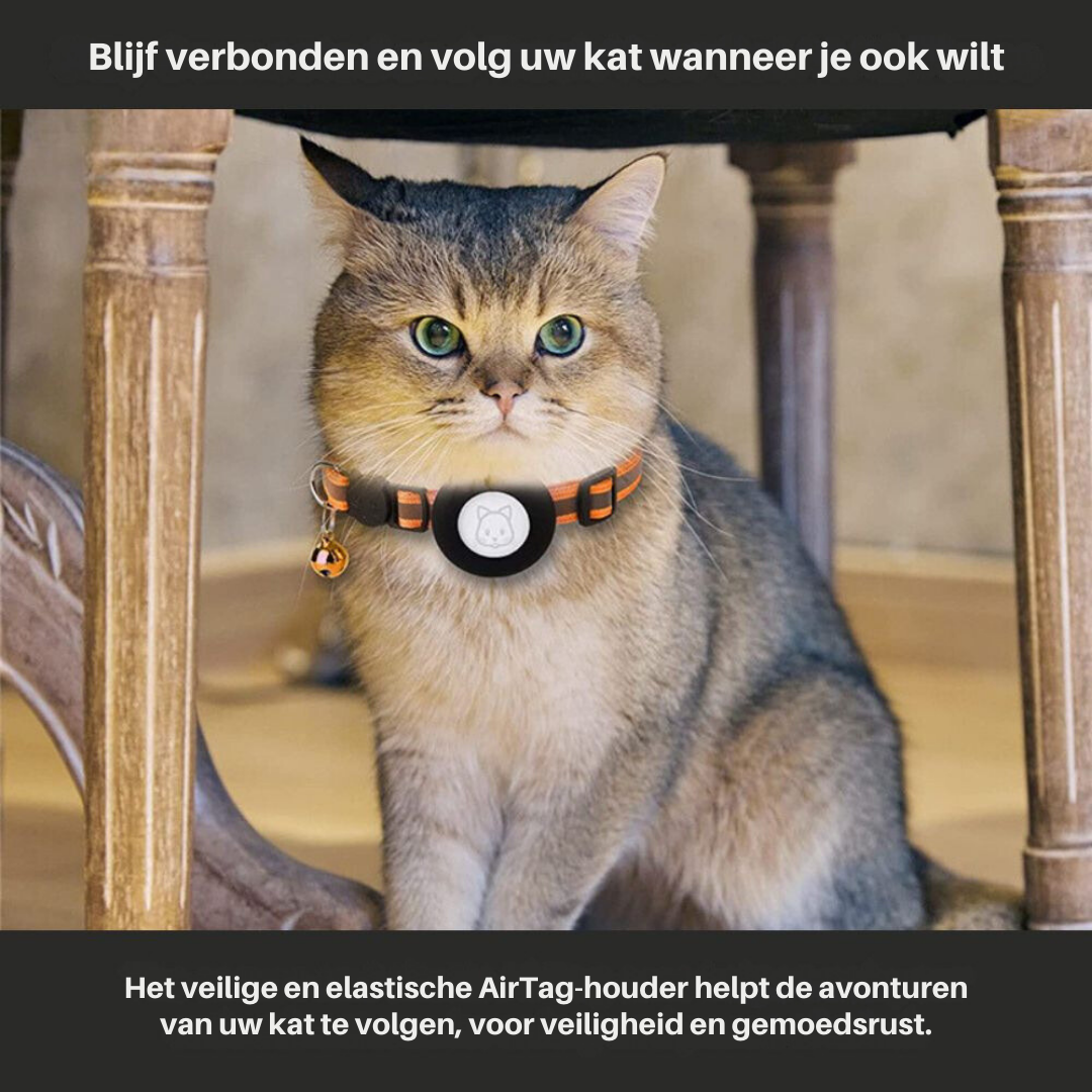 Cat GPS Tracker Collar Reflective Quick Release