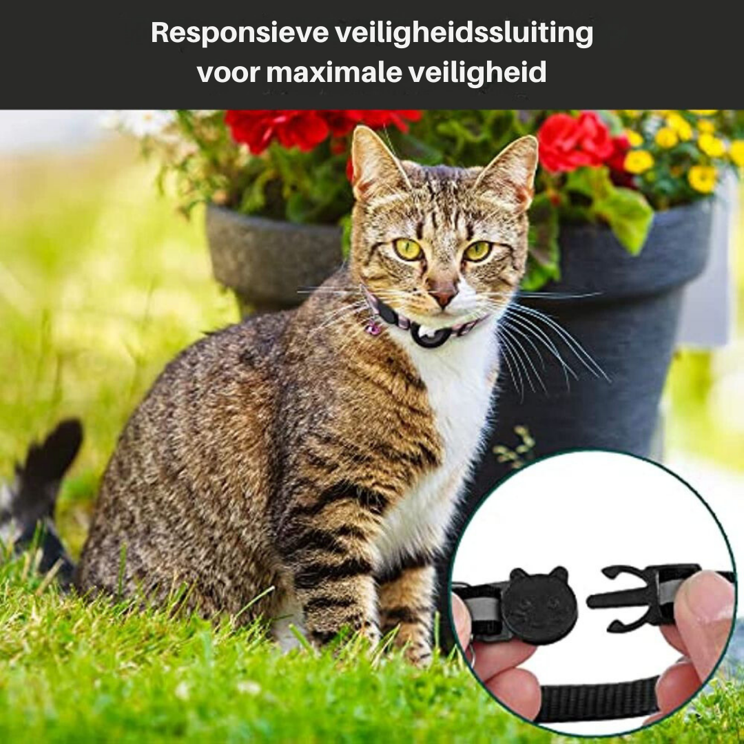 Cat GPS Tracker Collar Reflective Quick Release